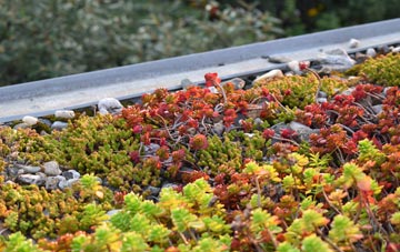 the cost of Limekiln Field green roof installation