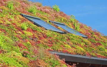 Limekiln Field living roof systems